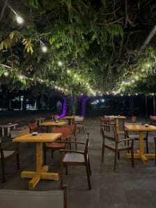 Nomad Boho Bar