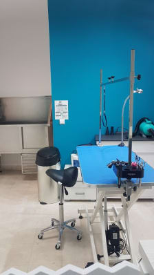 Dogi Grooming Salon