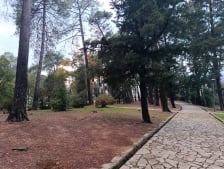 Large Town Park