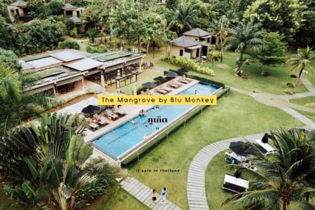 The Mangrove by Blu Monkey