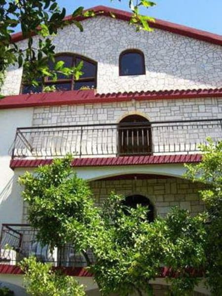 Kamelija-Lazarević