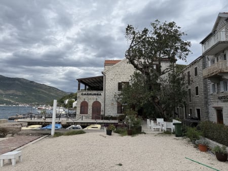 Guesthouse Giraffe