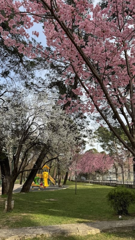Dječiji Park