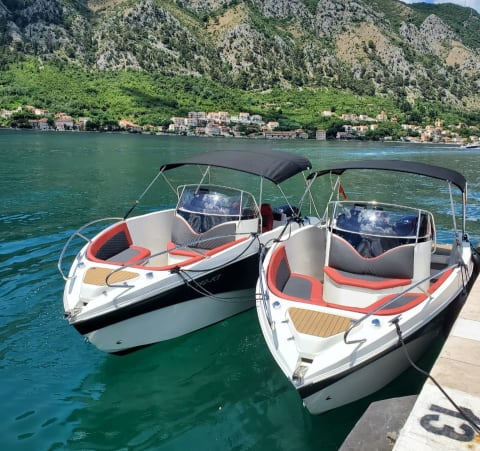 MSD Adriatic