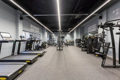 Kamelija Gym