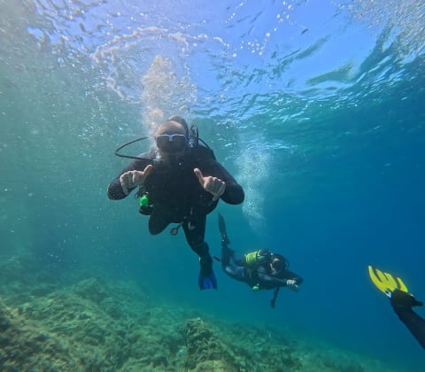 Golden Harbor Diving