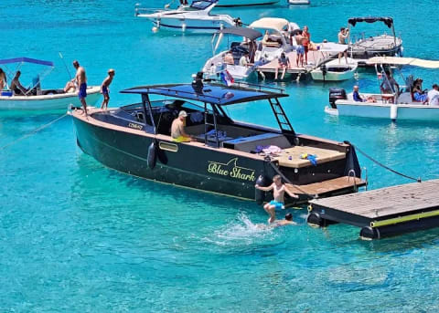 Blue Shark Boat Tours