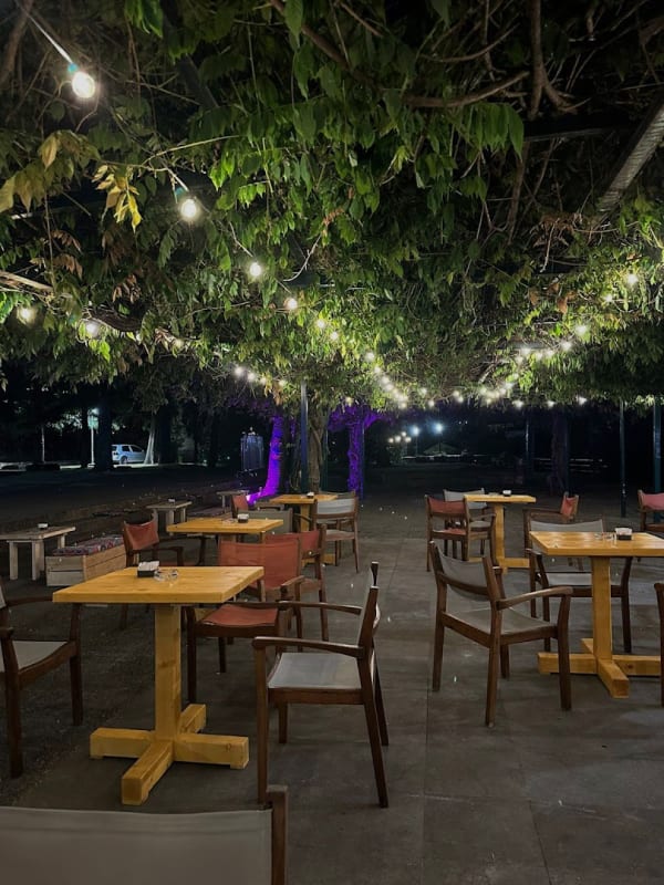 Nomad Boho Bar