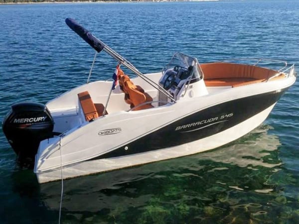 Bay Speedboat Tours