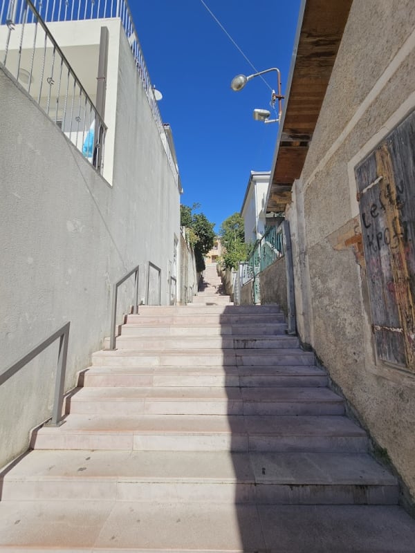 Turistička organizacija Herceg Novi