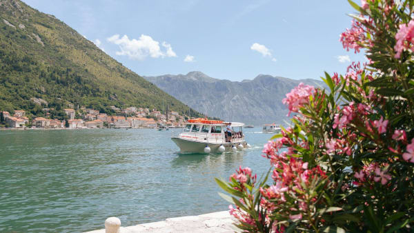 Activities & Tours