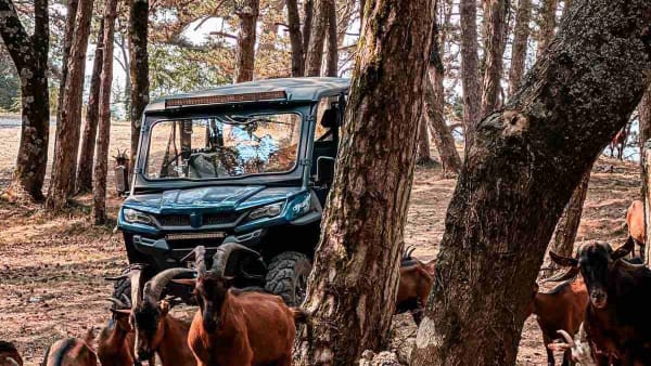 Buggy Safari Montenegro
