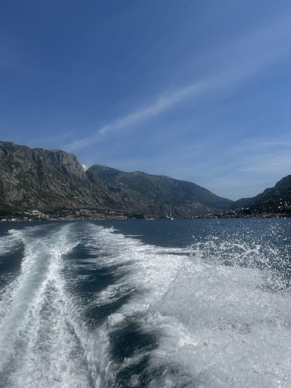 Cone Boat Tours
