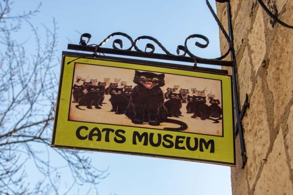 Kotor Cats Museum