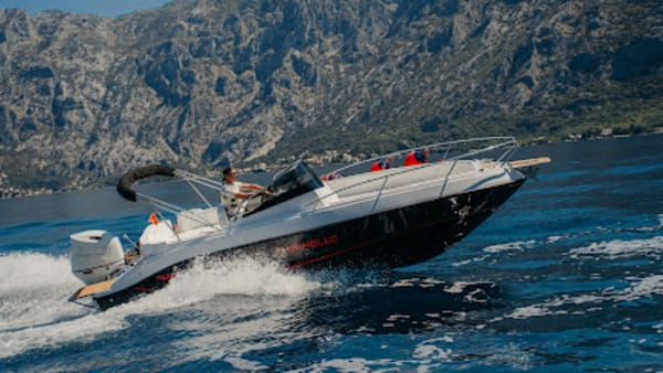 Royal Waves - SpeedBoat Tours