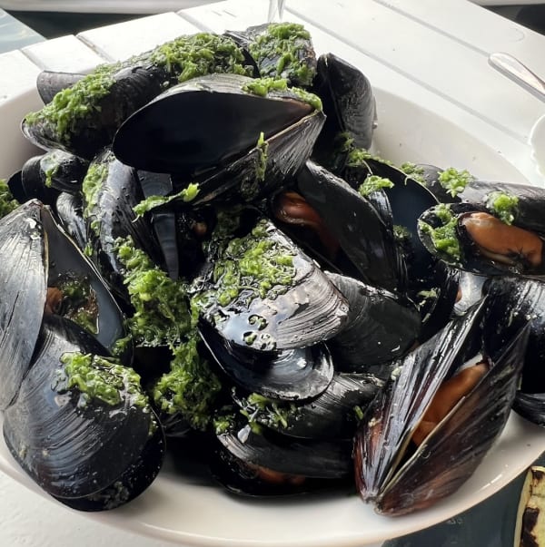Mussles and oysters farm with restaurant @bokaseafood