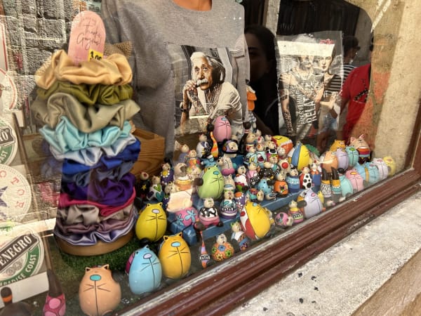 Iguana Souvenirs