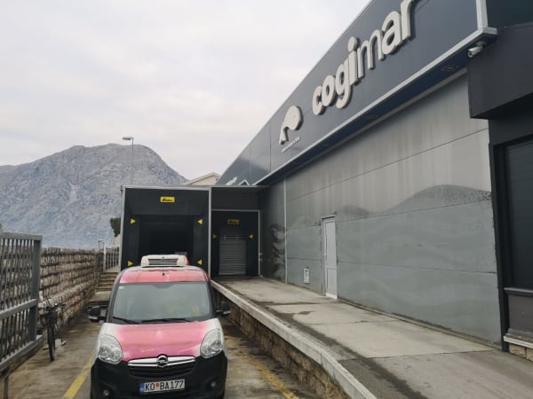 COGImar Exclusiv