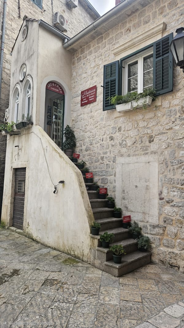 Mustrica - Kotor Art & Craft Gallery