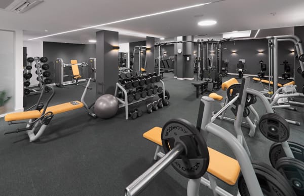 Shanti Wellness & Spa