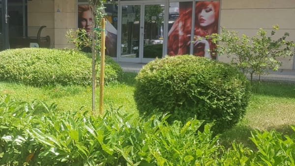 Frizerski Salon Baćko