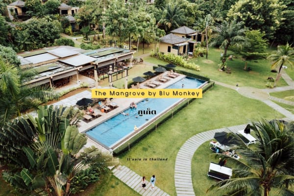 The Mangrove by Blu Monkey