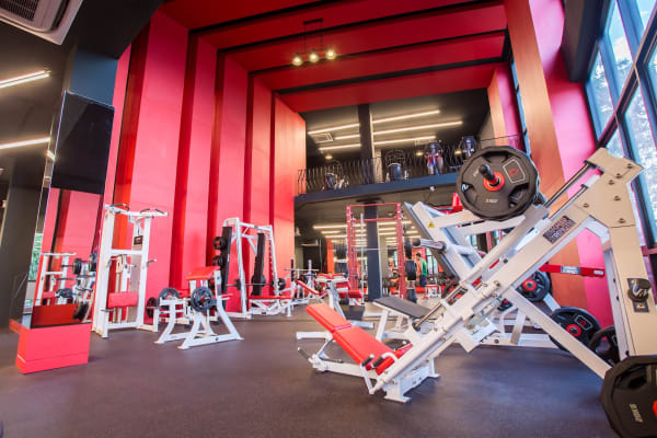 Alpha Health Club