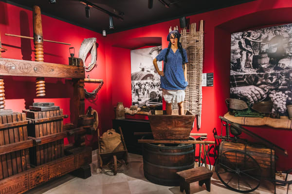 Wine Museum Dubrovnik