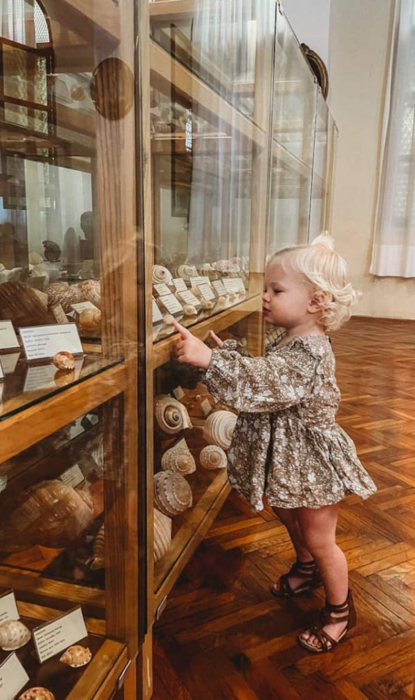 Shell Museum Cavtat