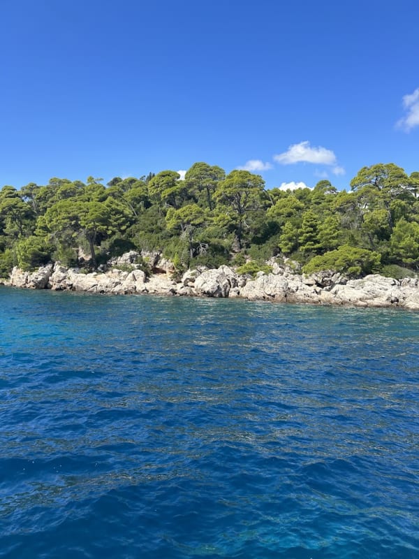 Lokrum Island Ferry