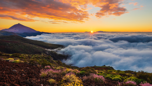 The Tenerife Channel Excursions