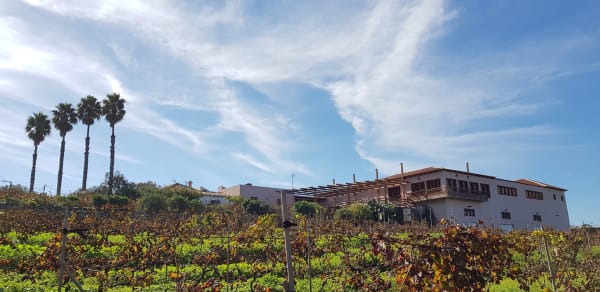 Bodega El Lomo