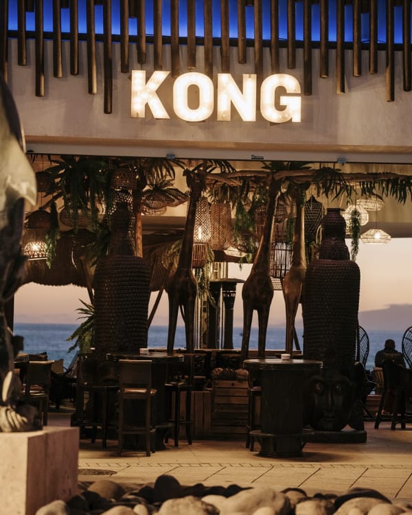 Kong by Monkey