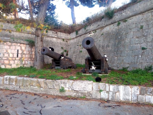 Gripe Fortress