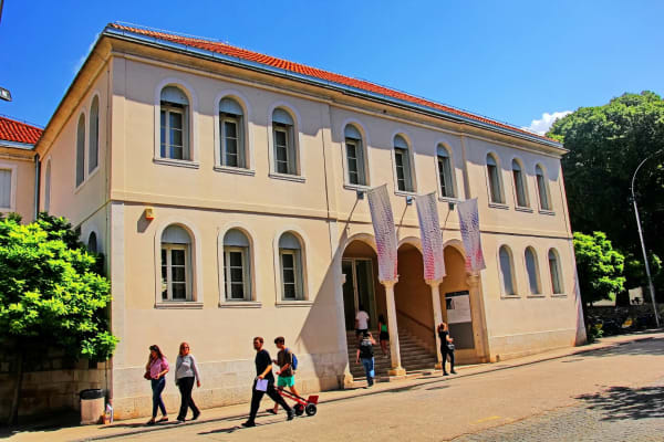 Museum of Fine Art