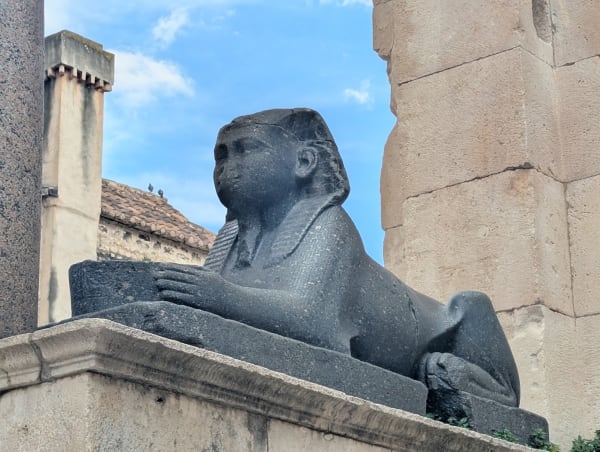 Split Local Tours