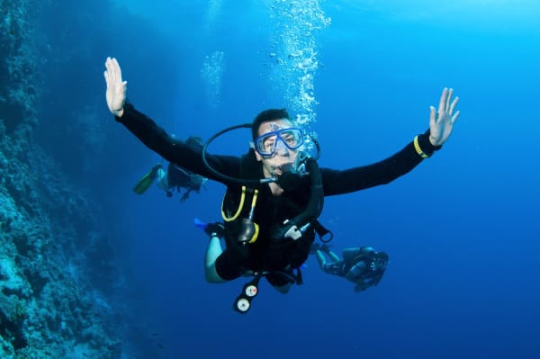 Split Diving Experience