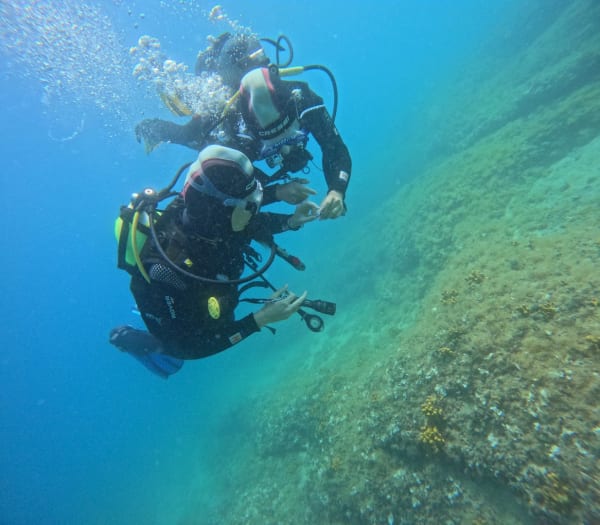 Diving Center Hippocampus