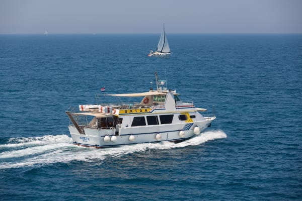 Orion Travel