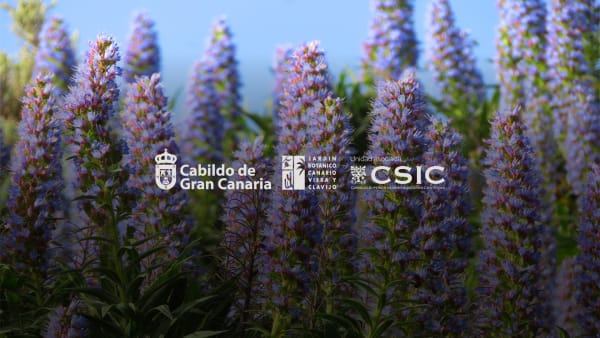 Jardín Botánico Canario Viera y Clavijo