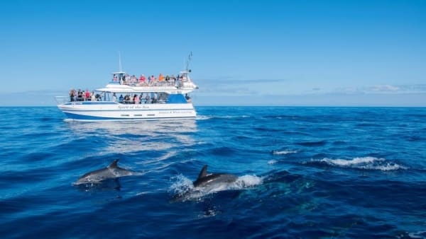 Spirit of the Sea