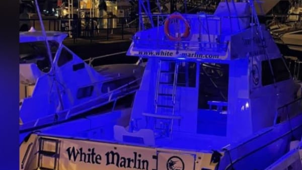 White Marlin