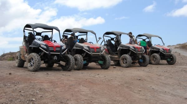 Canarias Excursions Tours