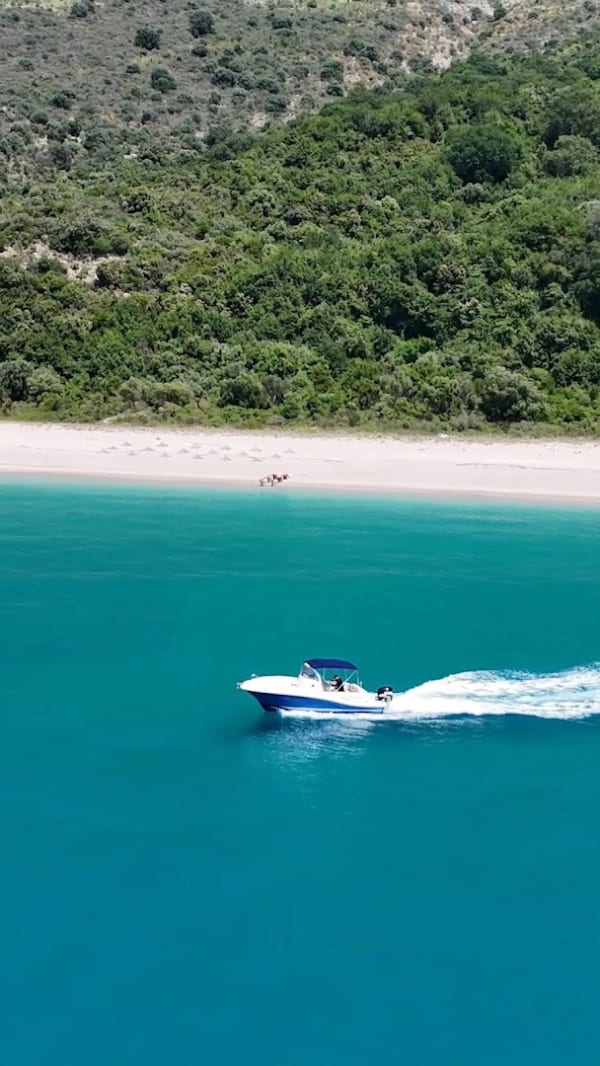 Blue Whale Boat Trips