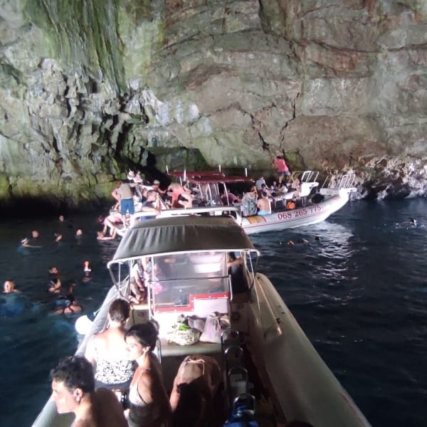 Sea Rabbit Speedboat Tours