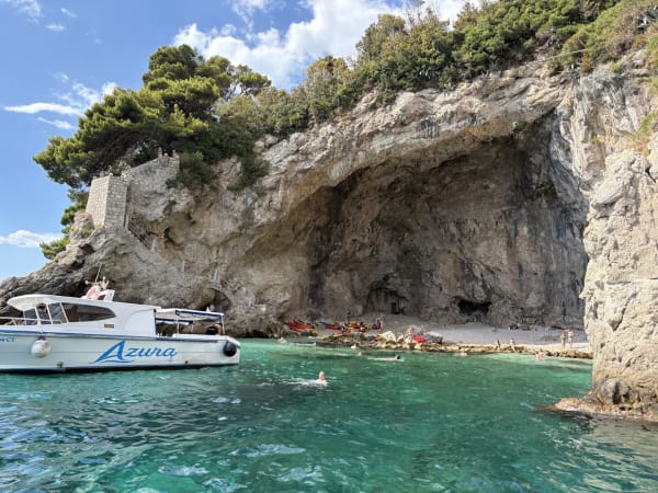 Sealife Speedboat Dubrovnik
