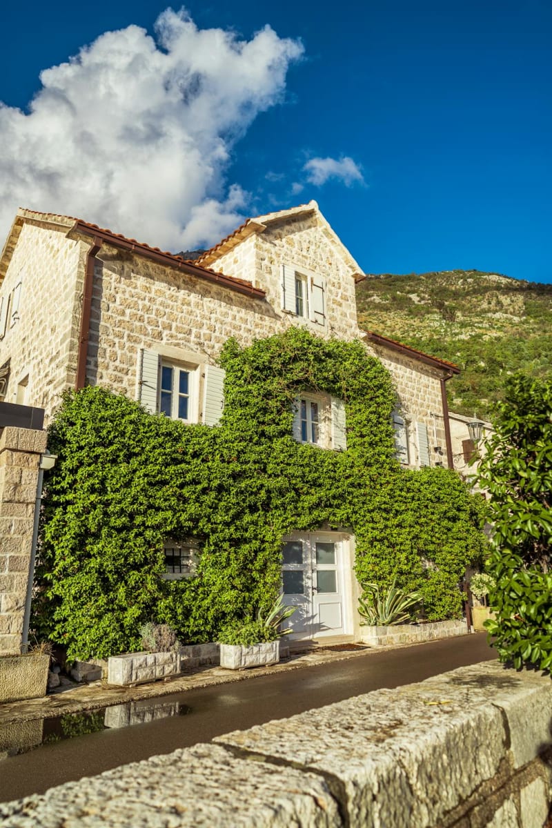 Недвижимость