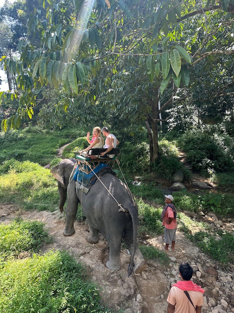 Online Phuket Deluxe Tours photo 3