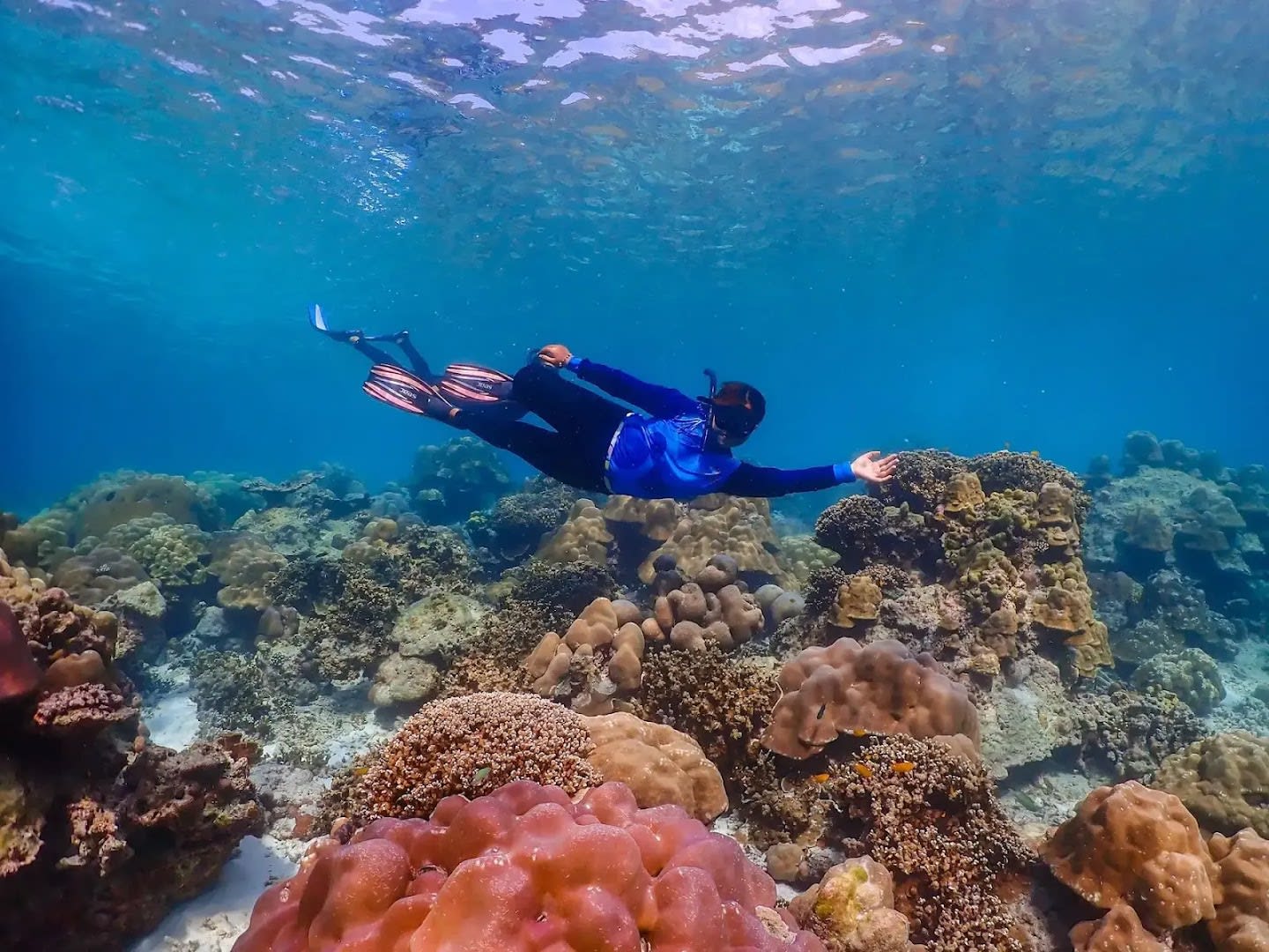 Phuket Snorkeling Tours photo 3