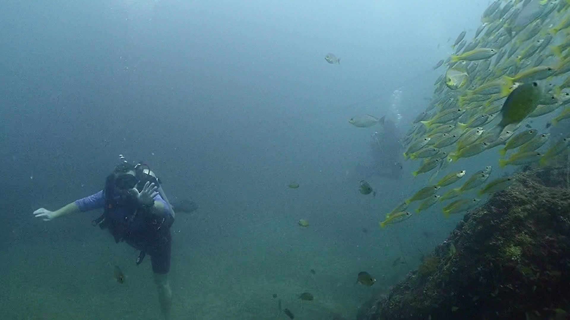 Super Divers Phuket photo 1